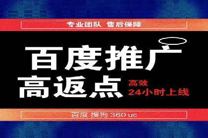 某品牌SEM推广策略的成效与启示